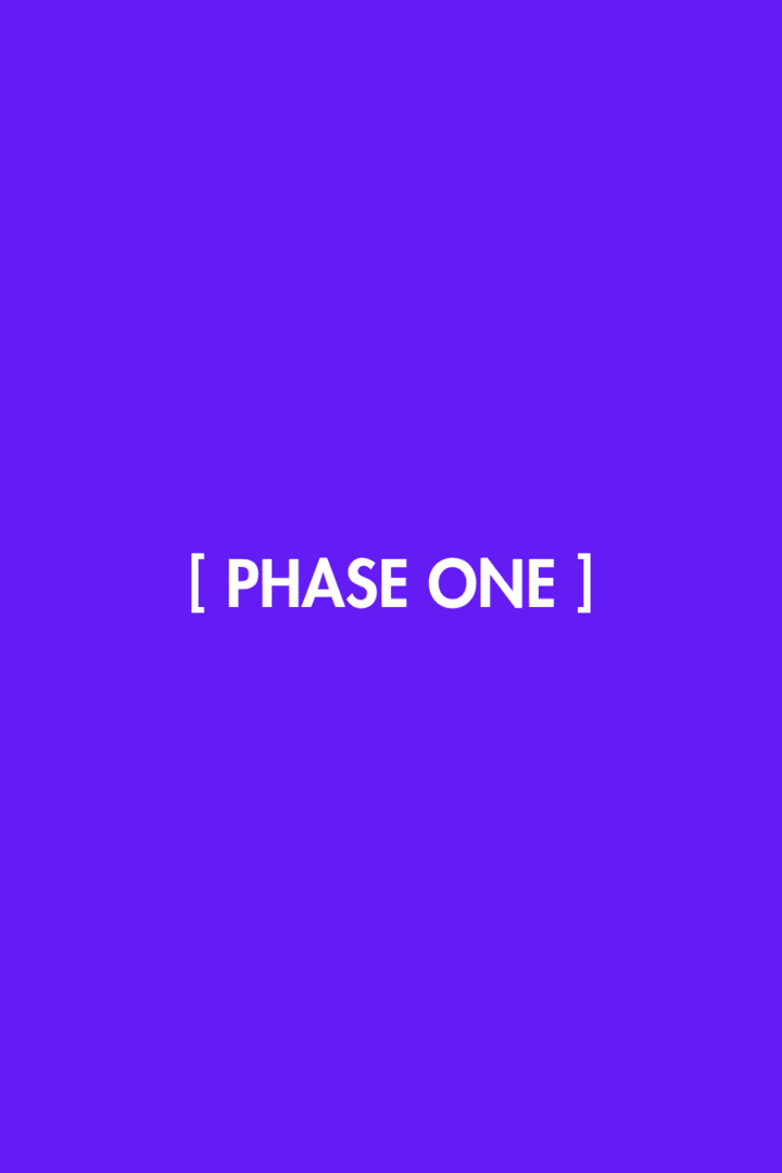 3) PHASE ONE DESCRIPTION