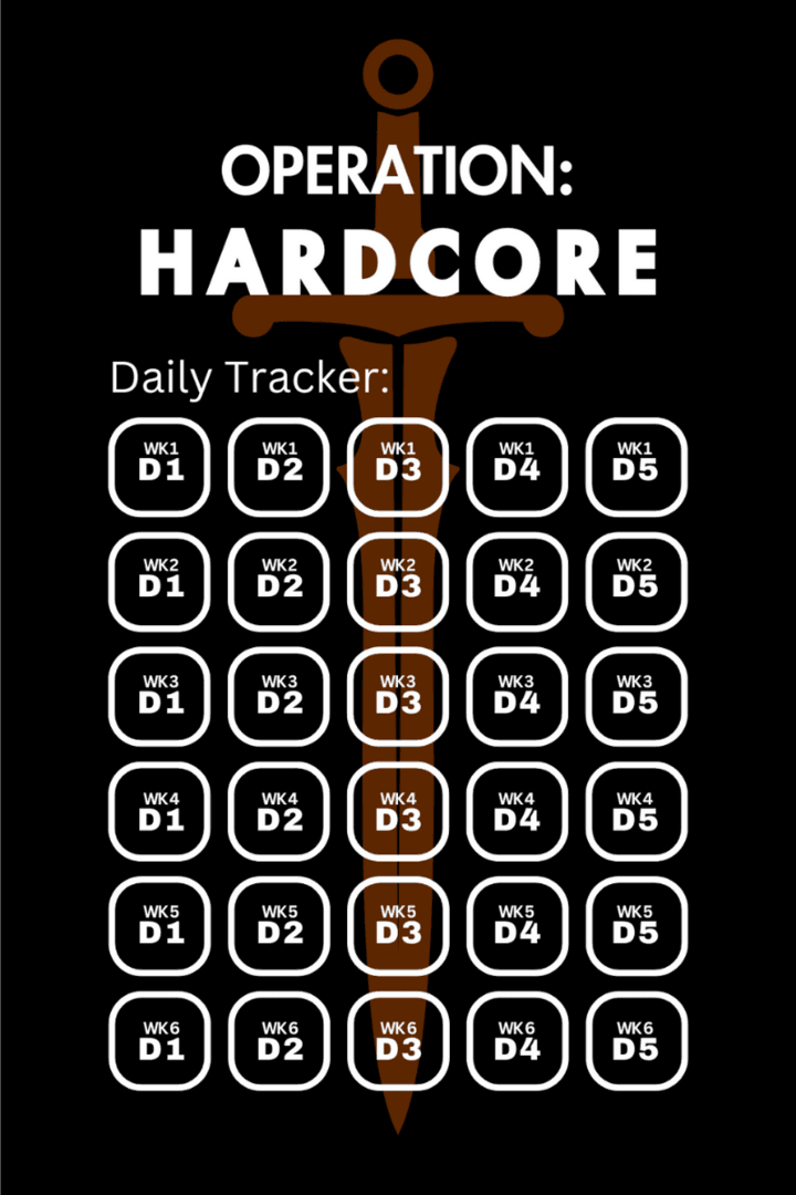 3) DAILY TRACKER